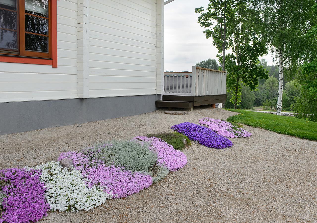 Vasekoja Holiday Center Vahtseliina Eksteriør billede